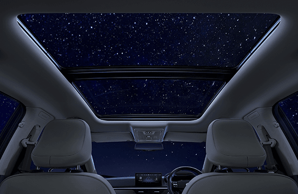 Tata Nexon Voice Assisted Electric Sunroof