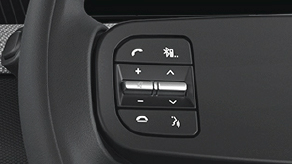 Tata Tiago Steering Mounted Controls